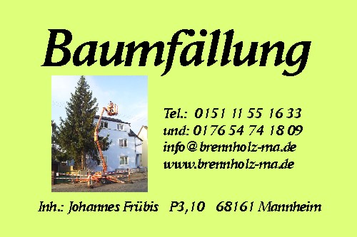 Baumfällarbeiten